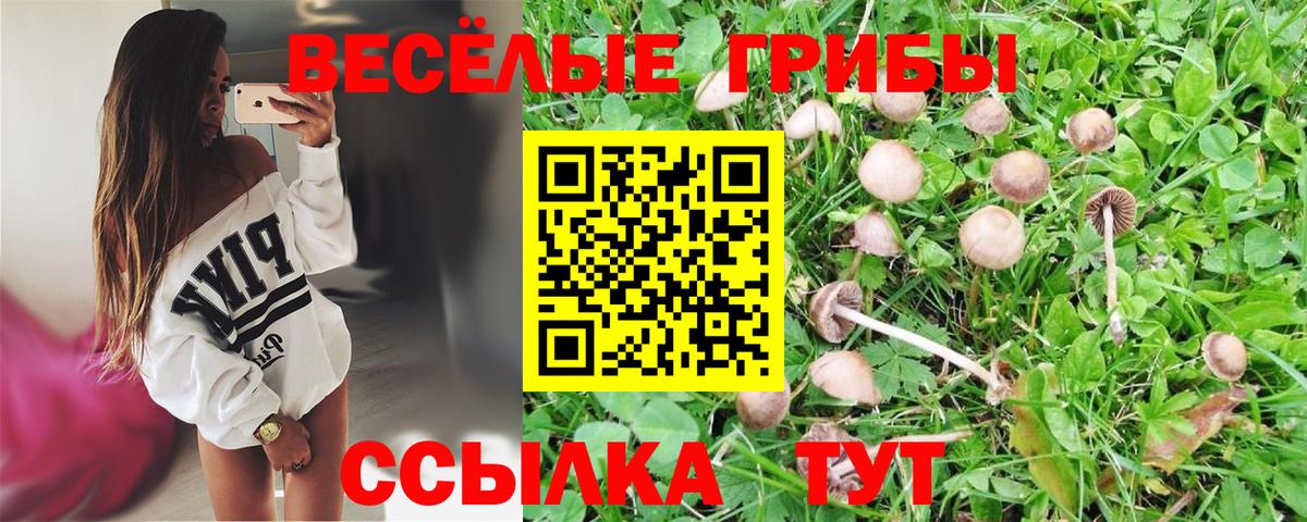 Псилоцибиновые грибы MAGIC MUSHROOMS  закладка  Сергиев Посад  Вход с VPN  Псилоцибиновые грибы ЛСД 