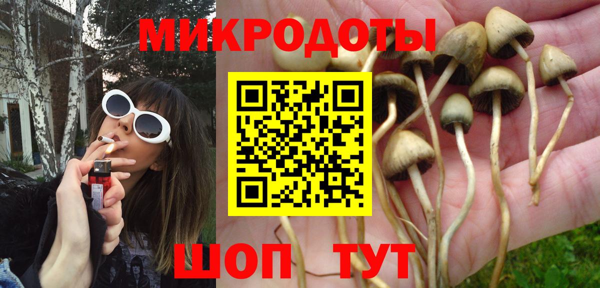 Галлюциногенные грибы Magic Shrooms Сергиев Посад